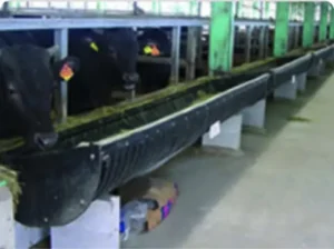 カウプラッター